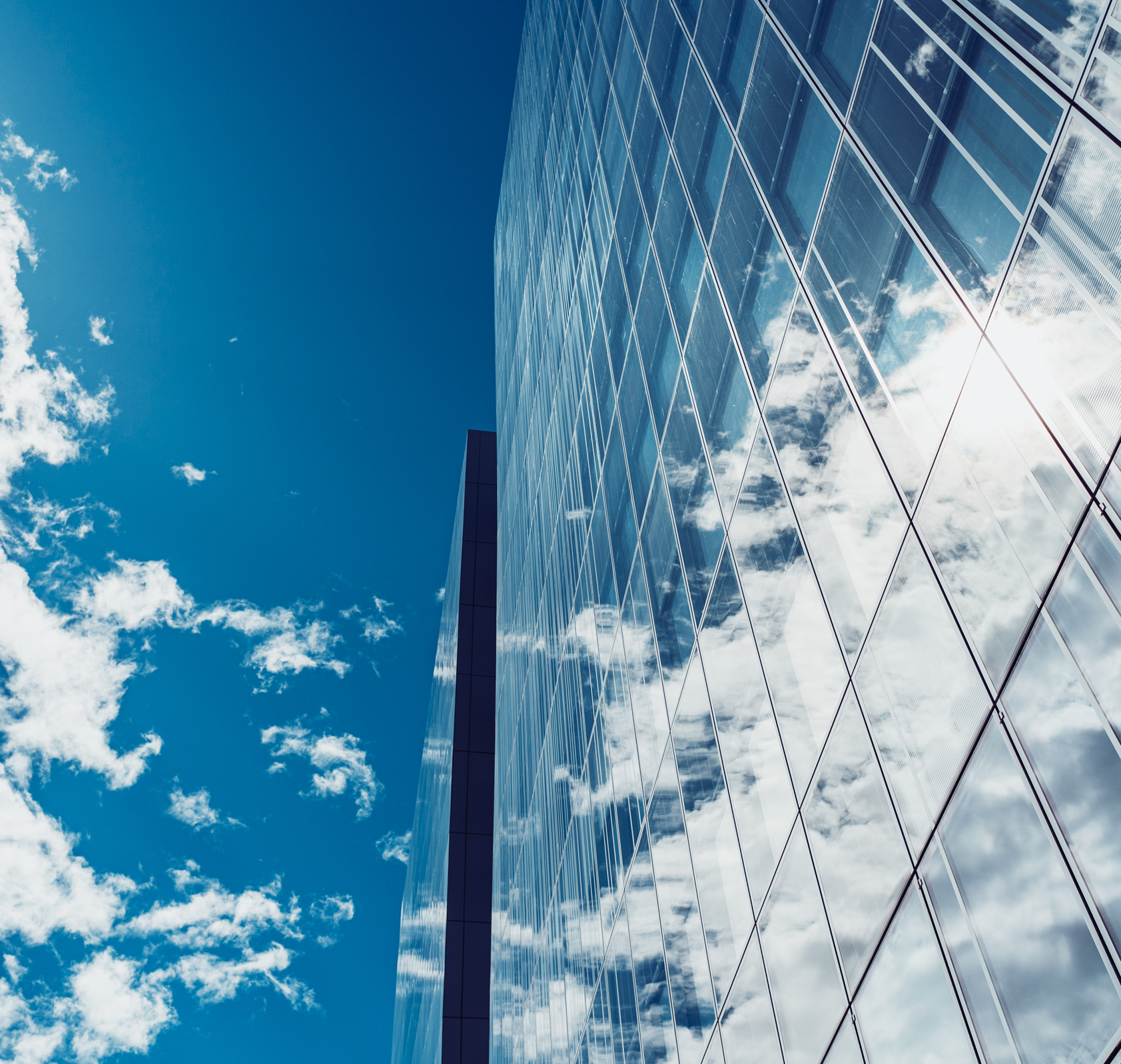 chi siamo sfondo box 2